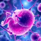 advances-in-neonatal-cell-therapies:-2025-update