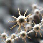 all-metal-biodegradable-microrobots-set-to-revolutionize-drug-delivery-and-biopsy-techniques