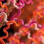 posttranslational-modifications-reshape-proteome-ligandability