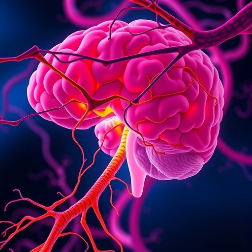 calcium-flow-and-magnesium-block-in-nmda-receptors
