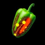 transcription-factors-shape-metabolite-zones-in-capsicum