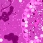 ncor2-suppresses-mhc-i,-fuels-breast-cancer-metastasis