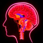 bright-flair-signal-reveals-anterior-cranial-insights