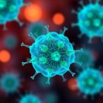 blocking-mitochondrial-leucine-boosts-t-cell-cancer-defense