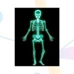 molecular-skeleton-programming-advances-sulfur-electrode-design