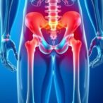 bmi-and-egfr-link-in-elderly-hip-fractures