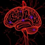 m6a-rna-modification-shapes-synapse-in-aging,-disease