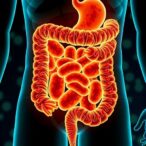 scientists-uncover-mechanism-of-gut-bacteria-toxin-invading-colon-cells-to-initiate-cancer