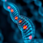 dna-errors-uncovered-that-enable-tumor-survival