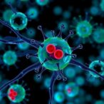 leukemia-stem-cells-drive-treatment-failure:-new-discoveries-pave-way-to-overcome-resistance