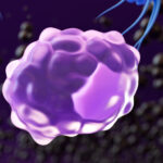 macrophages-use-cell-volume-changes-to-sense-danger-and-amplify-inflammation