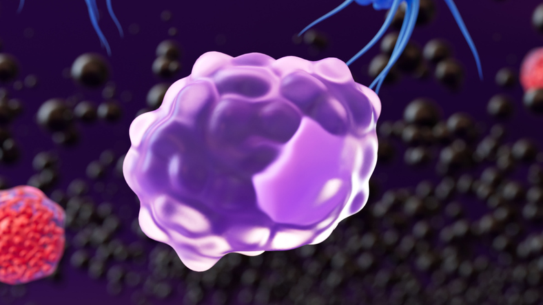macrophages-use-cell-volume-changes-to-sense-danger-and-amplify-inflammation
