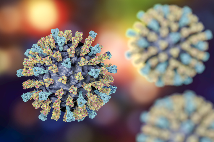 human-antibodies-identified-that-have-potential-to-prevent-and-treat-measles-virus