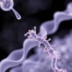 unlocking-aptamer-diversity-via-dna-barcodes