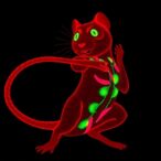 anxa11-suppression-restores-muscle-in-dmd-mice