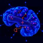 triose-phosphate-isomerase-1-rewires-microglial-metabolism