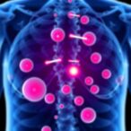 inhibiting-tgf-β-signaling-could-enhance-osteoporosis-treatment-effectiveness