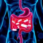 metformin-targets-gut-mitochondria-to-improve-glycemia