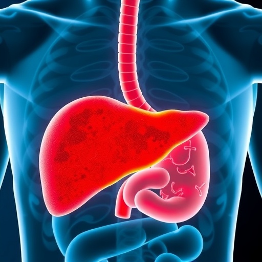 asthma-medication-exhibits-potential-to-reverse-fatty-liver-disease