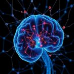wired-from-the-womb:-mapping-early-brain-connections