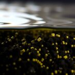 biochar-based-material-emerges-as-a-promising-solution-for-uranium-extraction-from-seawater