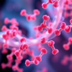 designing-gdf15-binders-for-cancer-cachexia-solutions