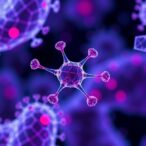 nanoparticles-boost-cell-density-for-better-tissue-repair