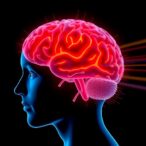 ultrasound-neuromodulation-disrupts-pain-processing-in-brain