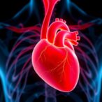 evaluating-digoxin-use-in-patients-with-symptomatic-rheumatic-heart-disease