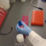 diabetes-drug-metformin’s-blood-glucose-lowering-effects-tied-to-action-on-gut-cells