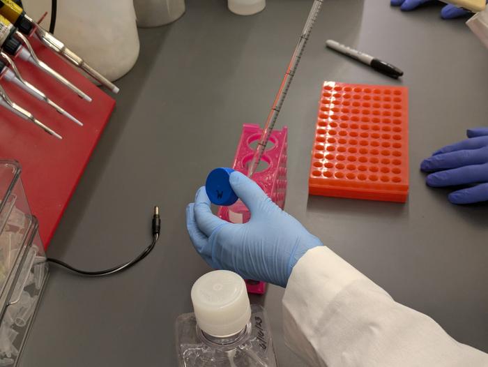diabetes-drug-metformin’s-blood-glucose-lowering-effects-tied-to-action-on-gut-cells
