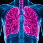 evaluating-the-efficacy-of-cefiderocol-and-levofloxacin-in-treating-hemorrhagic-pneumonia