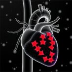 acad8-deficiency-drives-cardiac-hypertrophy-via-histone-modification