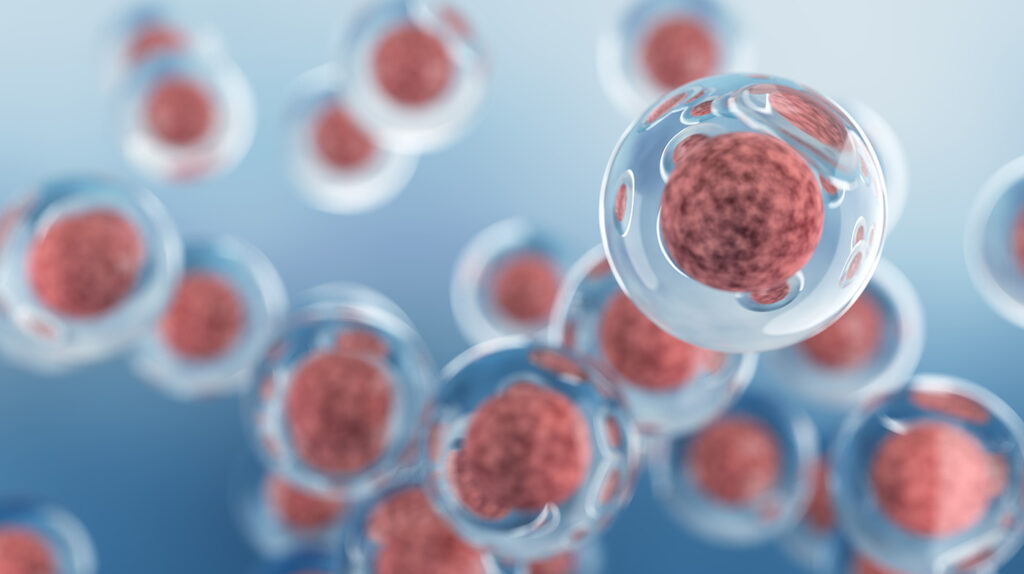 regvelo-ai-model-predicts-cell-fate,-tackles-developmental-disorders-and-cancer