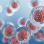 regvelo-ai-model-predicts-cell-fate,-tackles-developmental-disorders-and-cancer