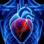 scientists-create-advanced-model-for-assessing-risk-in-hypertrophic-cardiomyopathy