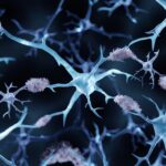 roche-nabs-european-approval-for-second-eli-lilly-partnered-alzheimer’s-test