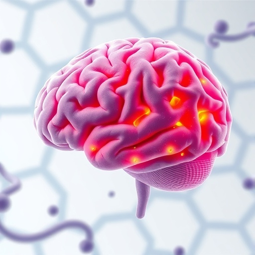 cutting-edge-genomic-techniques-reveal-unexpected-cellular-changes-in-the-aging-brain