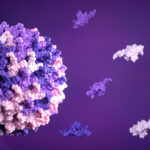 aavs-in-focus:-practical-approaches-to-capsid-analytics-and-plasmid-dna-control