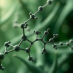 nad(p)h-dehydrogenase-diversity-drives-clofazimine-resistance