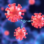 enhanced-cancer-drug-targeting-and-efficacy-through-molecular-grappling-hooks