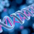 immune-remodeling-mrnas-drive-lasting-cancer-immunity
