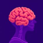 cognitive-decline-linked-to-mortality-in-older-women