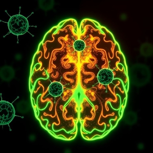 boosting-microglia-repair-accelerates-stroke-recovery