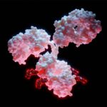 adopting-creative-chemistry-to-optimize-bioprocessing-workflow