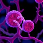 unlocking-pancreatic-development-and-cellular-plasticity