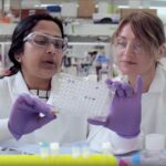 bms,-hengrui-pharma-partner-on-13-programs-in-up-to-$15.2b-collaboration