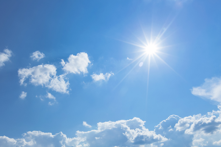 synthesizing-a-natural-sunscreen-and-antioxidant-in-e.-coli