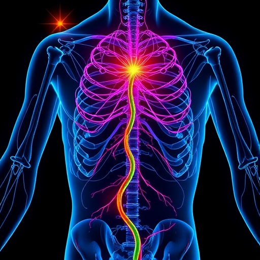 lineage-and-organ-signals-forge-intrinsic-nerves