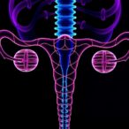 maveropepimut-s-combo-shows-promise-in-ovarian-cancer